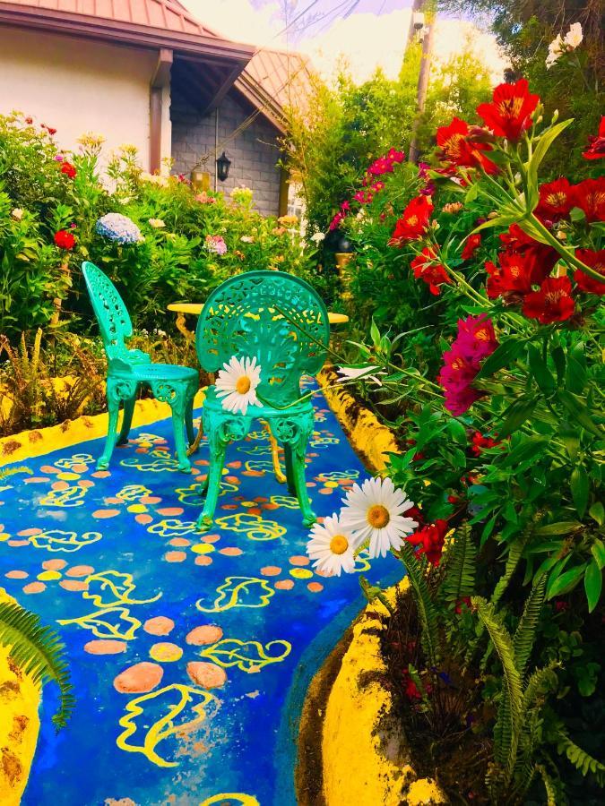 Serendipity Lake Artistic Bungalow By Heidis Home نوفارا إيلِيا المظهر الخارجي الصورة