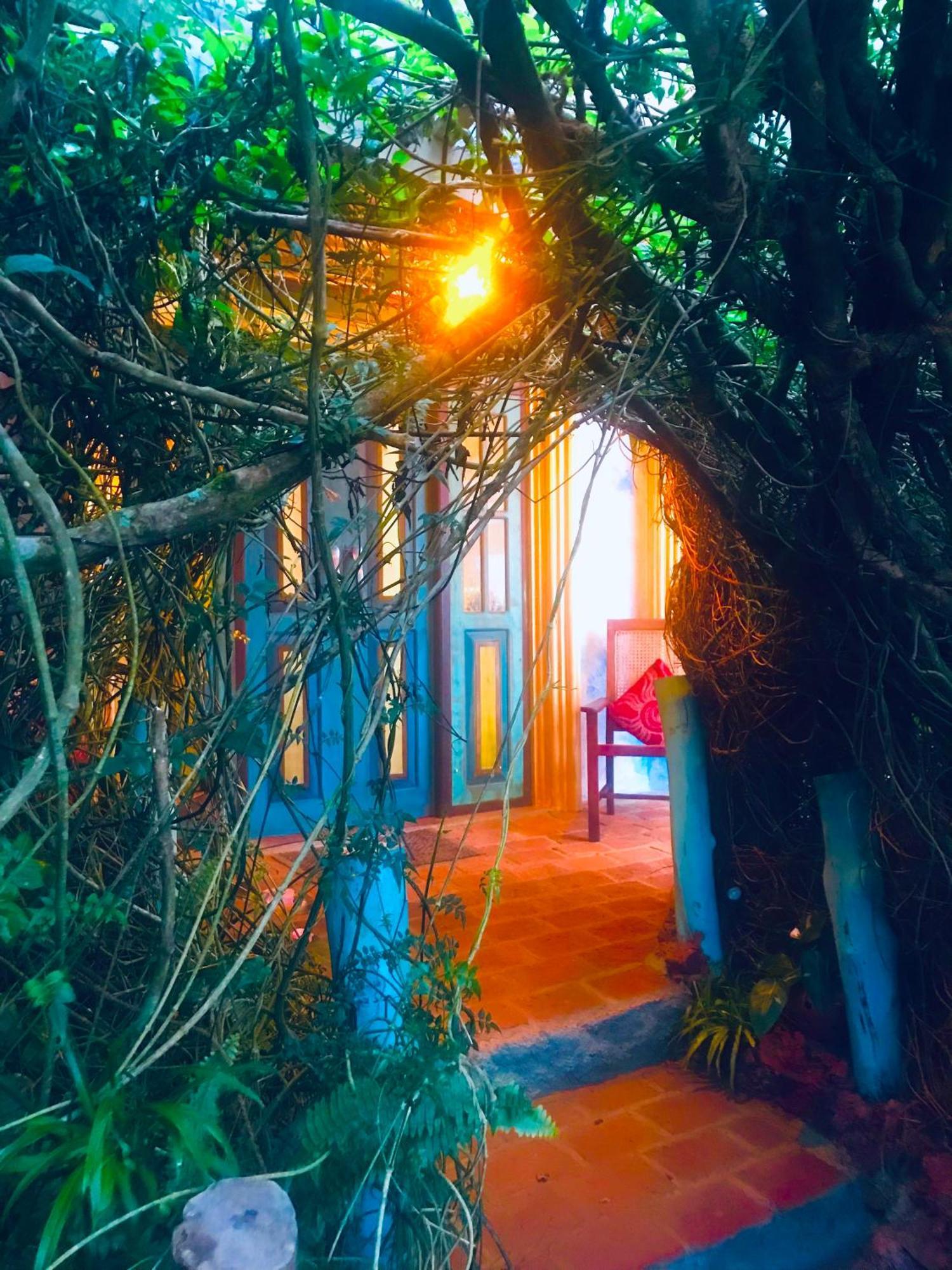 Serendipity Lake Artistic Bungalow By Heidis Home نوفارا إيلِيا المظهر الخارجي الصورة